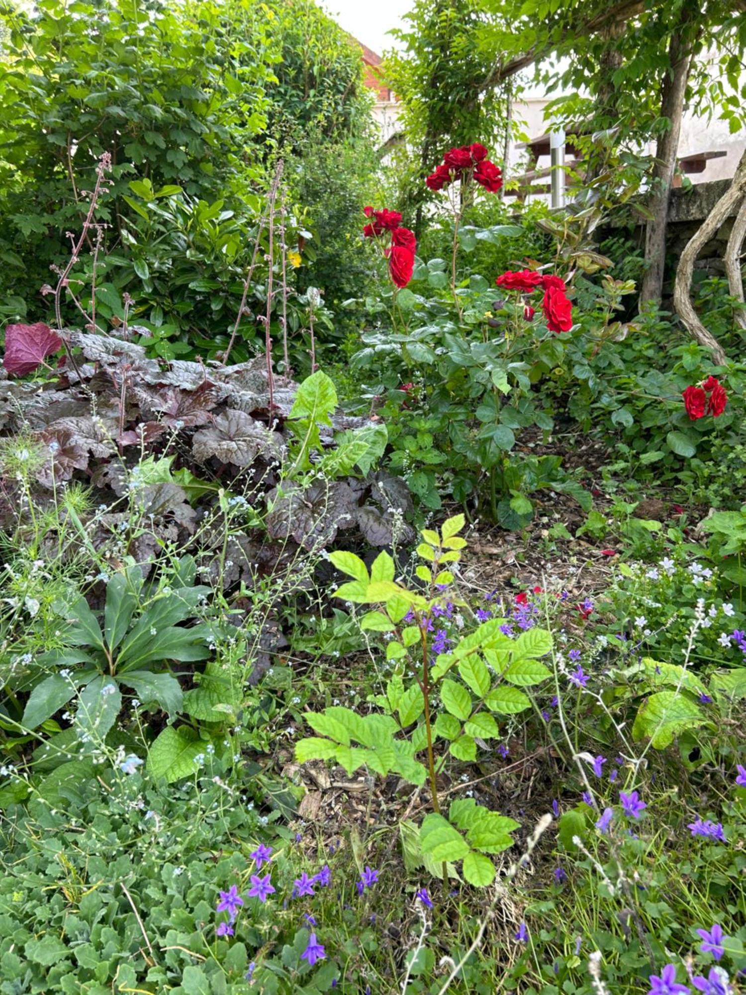 Pivoine Chambre D Hotes Fralignes Exterior foto