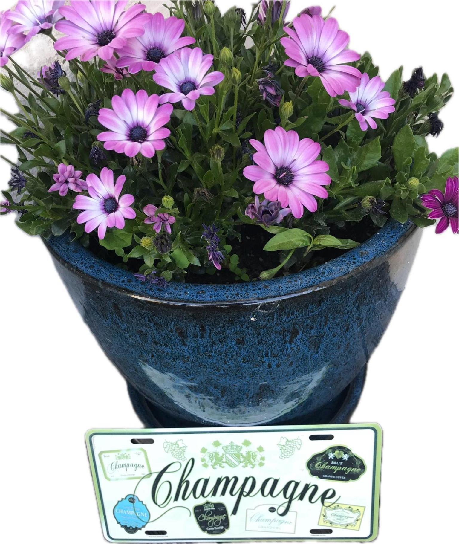 Pivoine Chambre D Hotes Fralignes Exterior foto